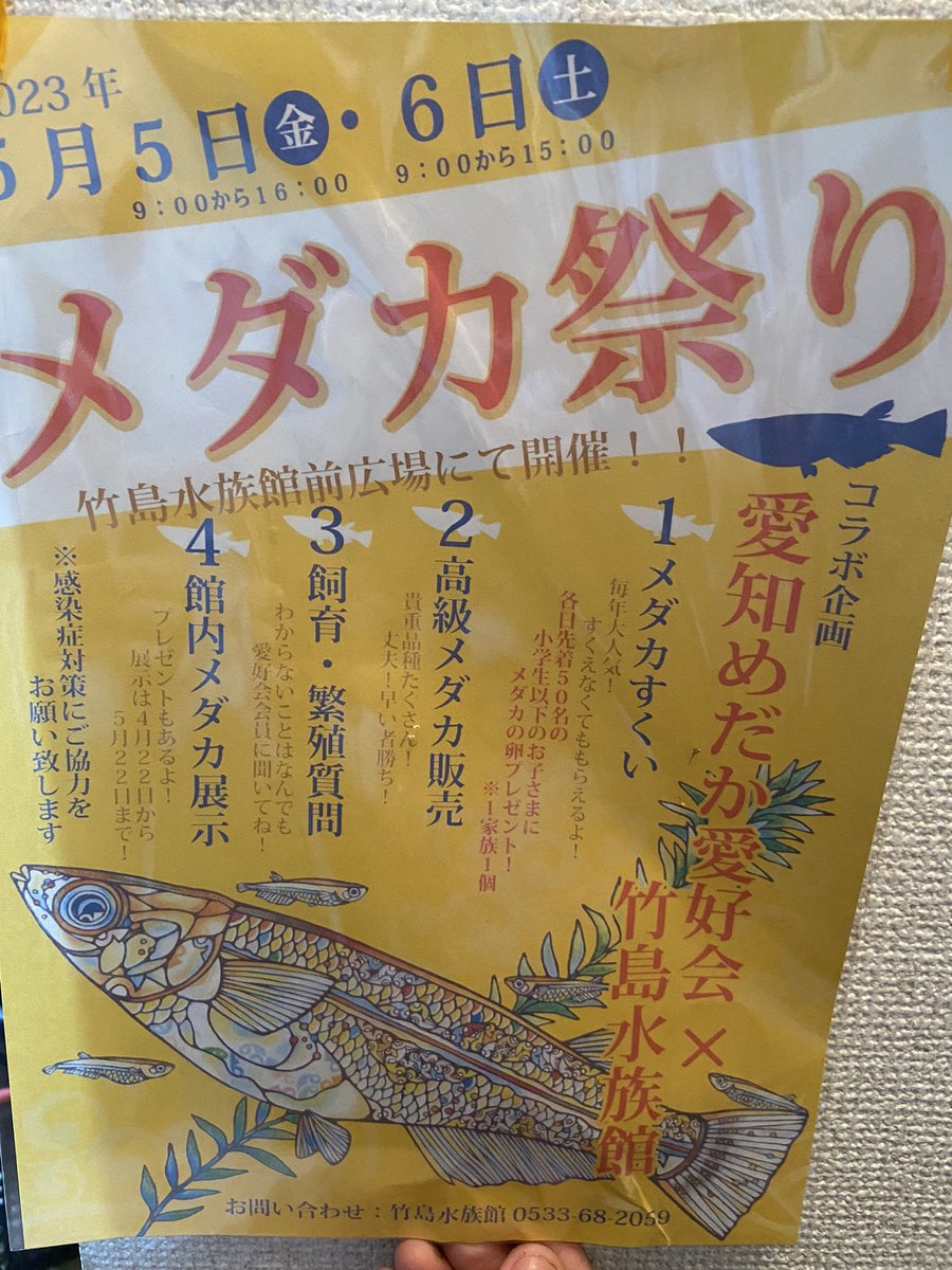 Iroha_ELFF_'s tweet photo. 幸田町の農協でメダカ祭りというものがやっていたので行ってきました！！

メダカすくいをやって来ましたがどの子も可愛くて(*´∀｀*)

気になった子もお迎え出来たので精一杯育てようと思います！

#幸田憩の農園
#葵メダカ https://t.co/9XpVUrwXsf