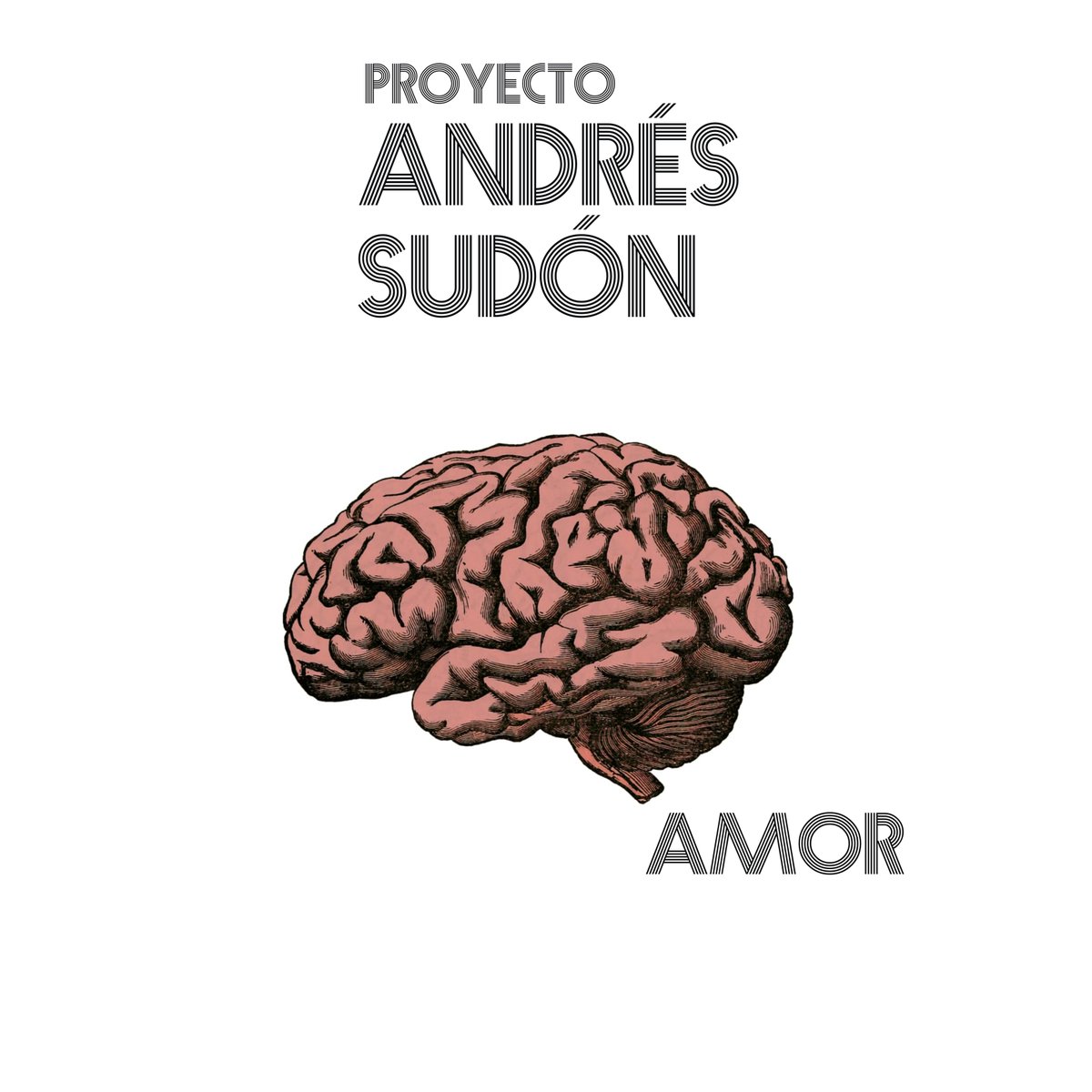 AndrEsSudOn's tweet photo. ¿Qué te parece usar el icono de un cerebro para la portada de una canción titulada "Amor"? https://t.co/okiKtyEd5v https://t.co/mVdpF5b4Sc