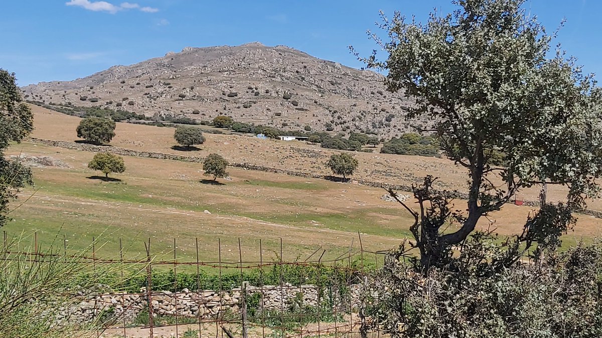mariocanora's tweet photo. Viene bien ver #Madriz desde fuera y empezar a pensar en hacer la danza de la lluvia para no sufrir este verano.
#CerroSanPedro #EmbalseNavacerrada
Ya es primavera en la #ComunidadDeMadriz https://t.co/TtDWr9sAE2