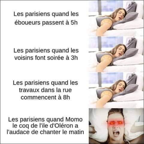 emily dumortier (@dumortieremily) on Twitter photo 