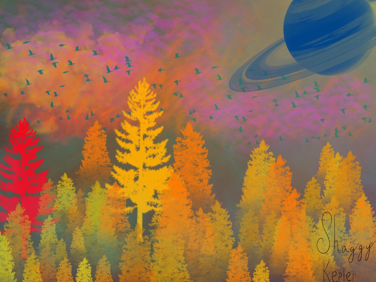 ShaggyKepler's tweet photo. It's been a hot minute since I uploaded my art. Here are some of the most recent pieces #art #procreate #Psychedelicart #digitalart https://t.co/aTg6DDYoOB