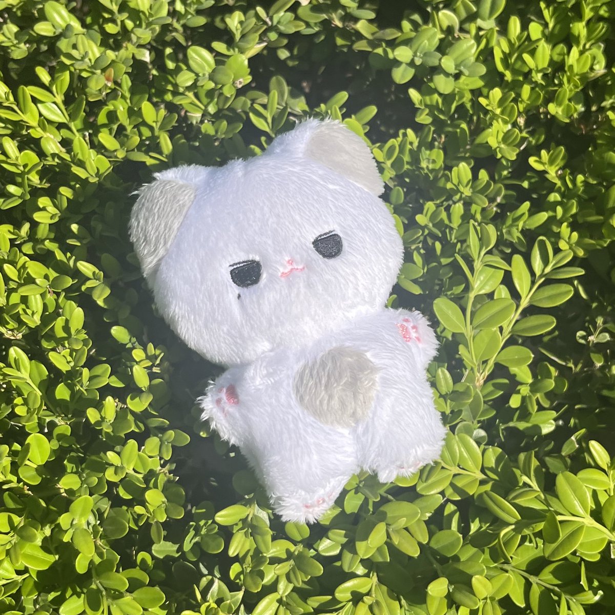 냥백이 tweet media