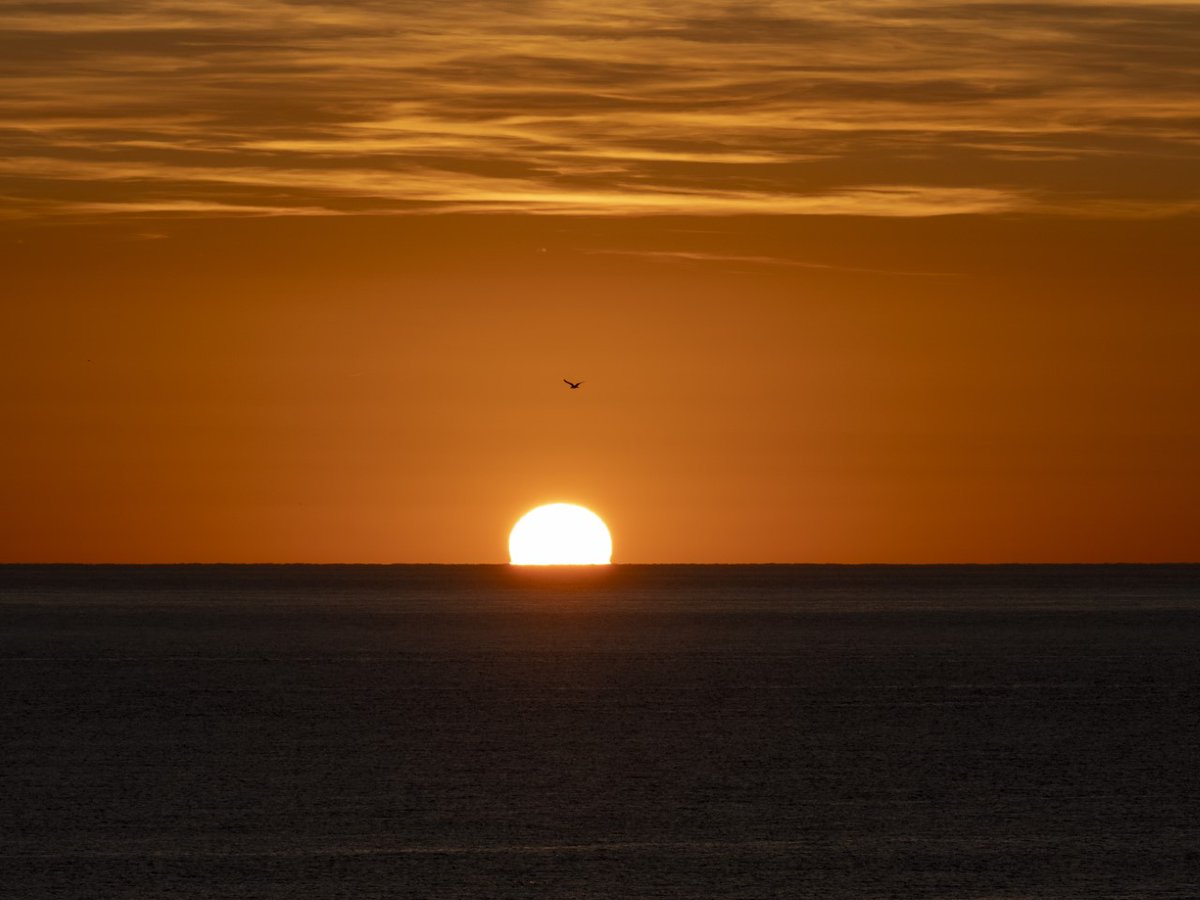 TempsIB3's tweet photo. Així es veia sortir el sol avui matí des de Porto Cristo😍.
➡️Un Diumenge de Pasqua amb el cel assolellat amb permís d'alguns niguls alts i qualque nigul baix a les Pitiüses. Les temperatures s'enfilaran fins als 19-24ºC. Vent del sud fluix.

📸Pedrosub https://t.co/TEyfS7eeHQ