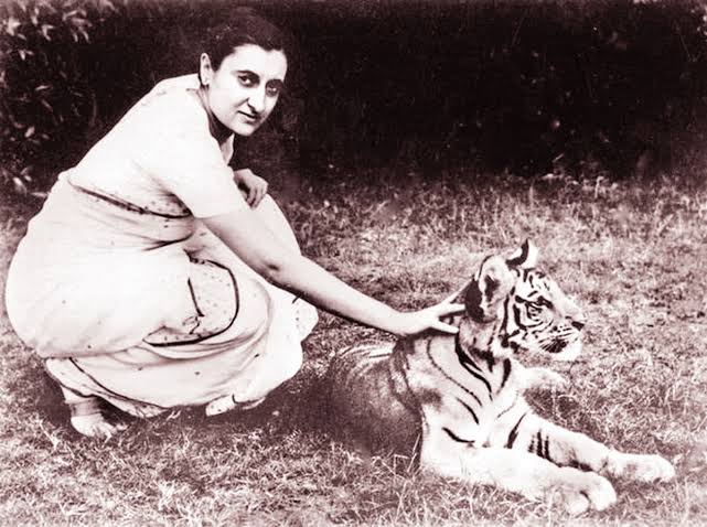 Bhavyanmurthy's tweet photo. Difference between a real visionary who started PROJECT TIGER in 1973 to the one taking fake credit of its success.

IT TAKES COURAGE AND EMPATHY TO BE A LEADER, NOT A CAMERA. https://t.co/HIoFtgq6hY