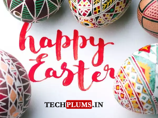 TechPlums's tweet photo. Wishing Everyone a Happy Easter 
https://t.co/Vn58l5AwWn
#happyeaster #techplums https://t.co/1Oscxl9bt5