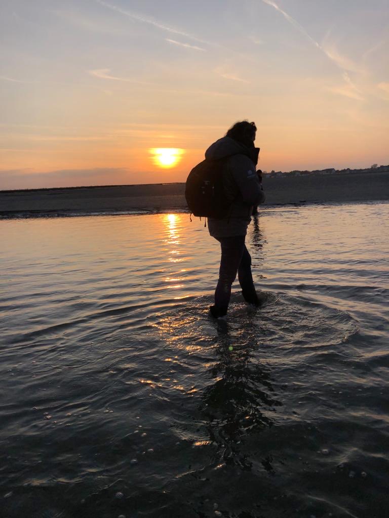 severine jeanneau tweet media