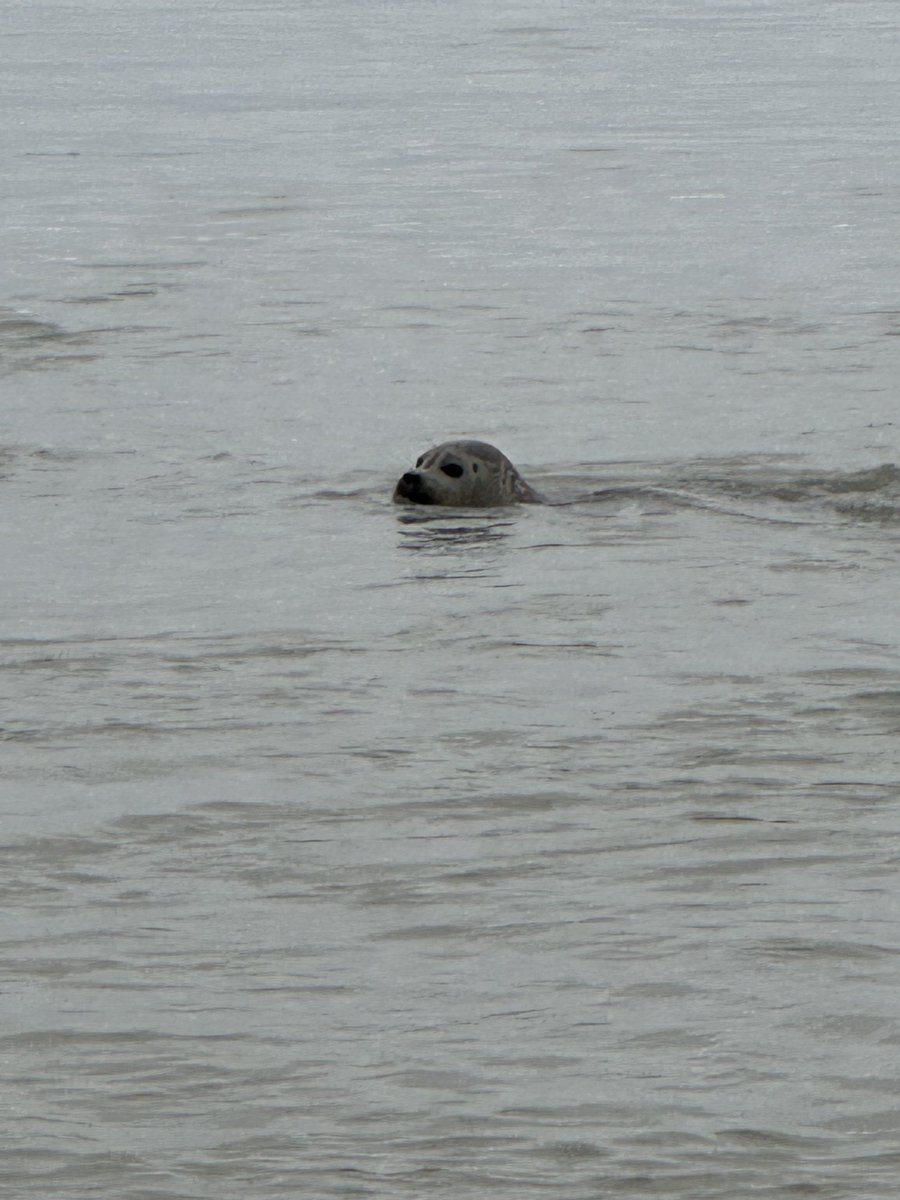 severine jeanneau tweet media