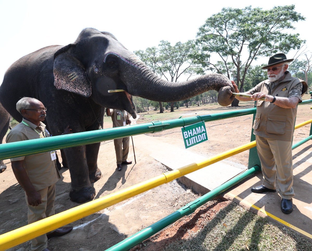 narendramodi's tweet photo. With the majestic elephants at the Mudumalai Tiger Reserve. https://t.co/ctIoyuQYvd