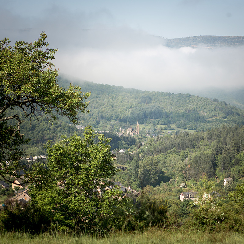 AtelierTuffery's tweet photo. Profitez de ces quelques jours pour vous ressourcer en pleine nature, au Cœur des Cévennes.
#landscape #cevennes #nature #ateliertuffery https://t.co/eAXNeoG4WL