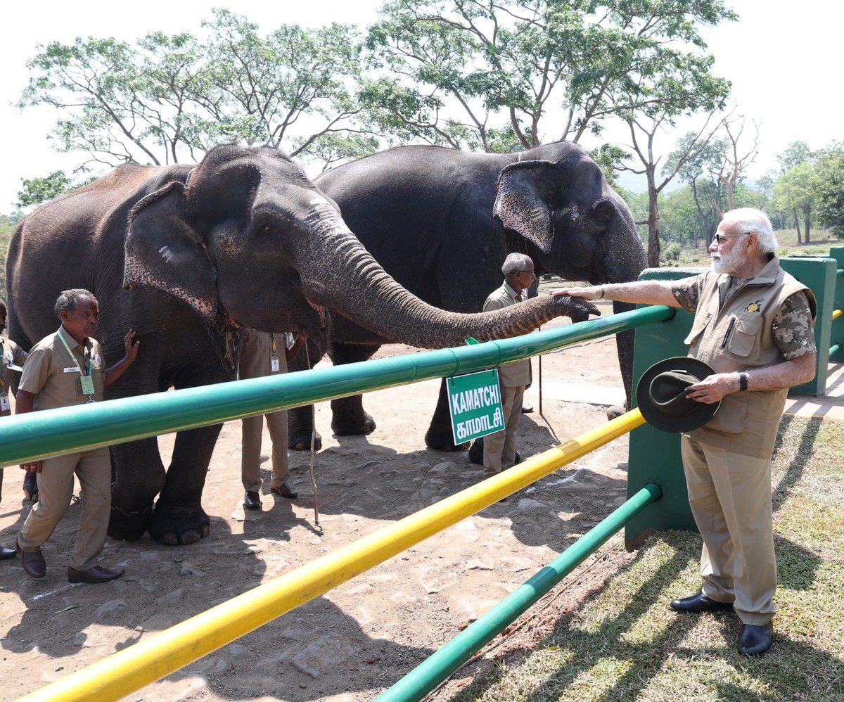 narendramodi's tweet photo. With the majestic elephants at the Mudumalai Tiger Reserve. https://t.co/ctIoyuQYvd
