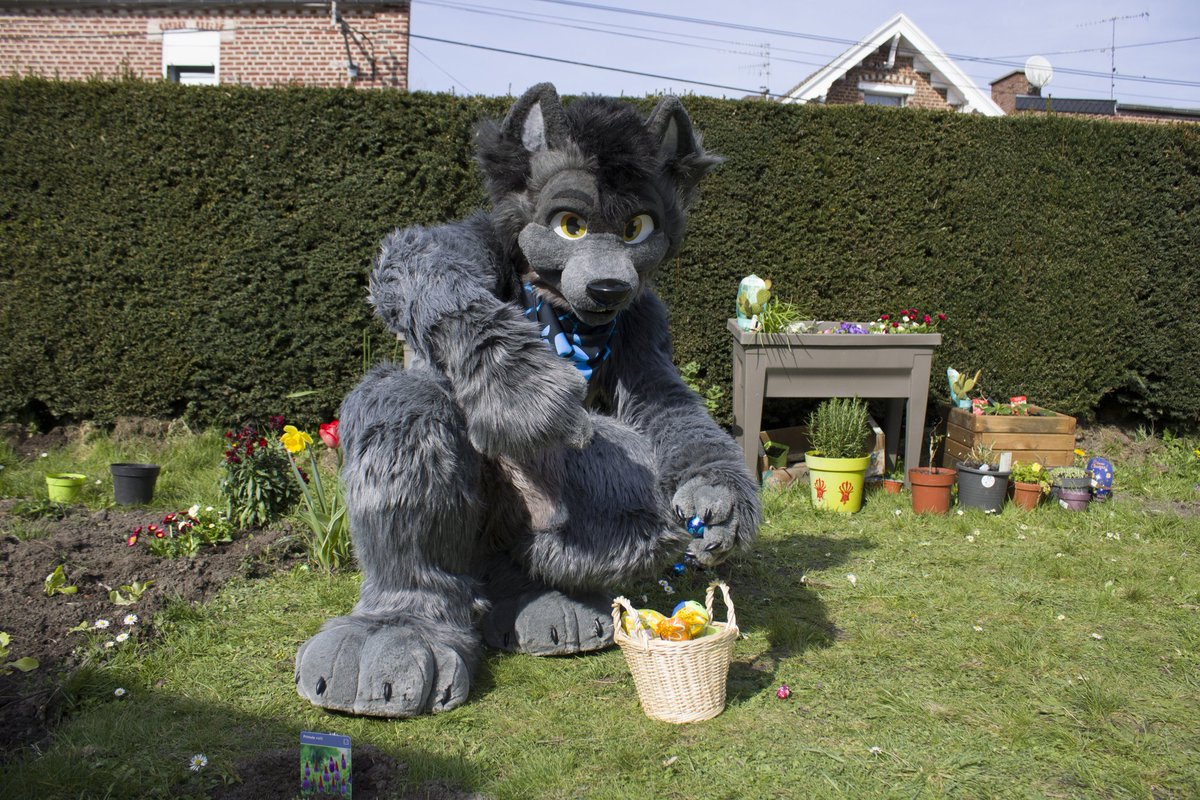 SzurkyWolf's tweet photo. I love Easter, there so many chocolates everywhere in the garden and I love chocolate <3
 Happy Easter to you all :D

With my fox @Andrew_fox62 

#furry #furryeaster #Easter2023 #fursuiter #cutefursuit https://t.co/1slahvFYJY