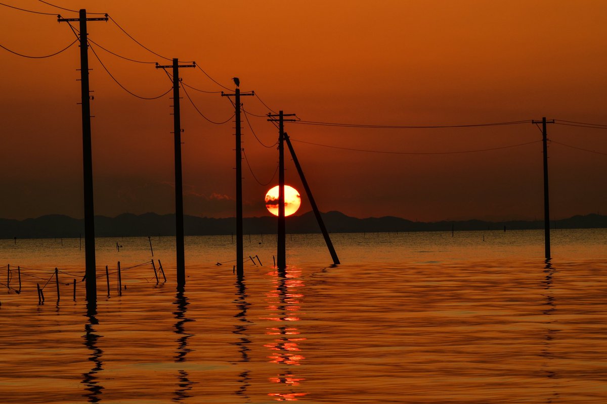 B2unit8's tweet photo. 海中電柱と夕陽

とても美しい夕陽に出会えました♪ https://t.co/XYWzDTqO6N
