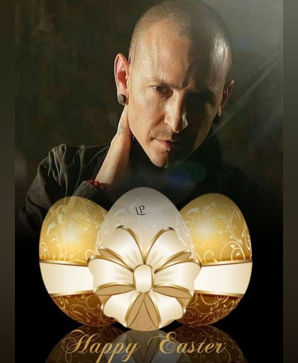 #iloveChester💞Cutierottie💜❤💜🌹💜❤💜 tweet media