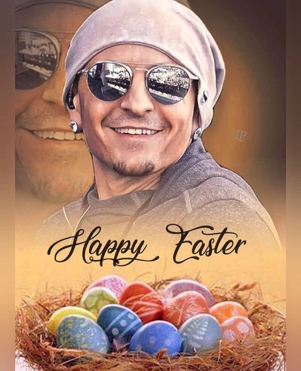 #iloveChester💞Cutierottie💜❤💜🌹💜❤💜 tweet media