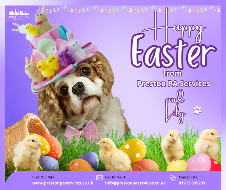 sueprestonpa's tweet photo. #HappyEaster to all our clients &amp; followers! We hope you're enjoying the long #Easterweekend &amp; managing to relax on #EasterSunday. 🤞🐣  
Our Lily is doing her best to look after the little chicks this weekend! She's got her paws full! 🐶 😍
#Easter2023 #LancsBusinessRT https://t.co/oZpGS9Sg2D