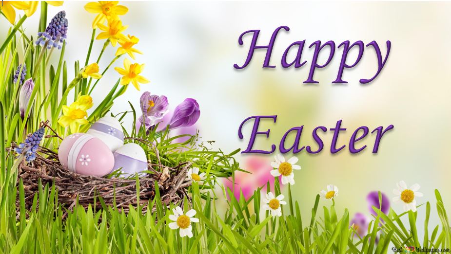 syncora_care tweet media