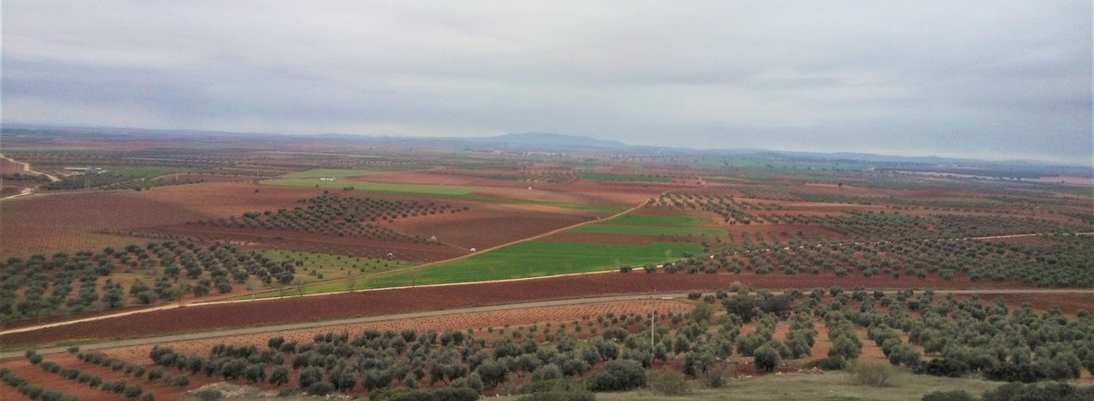 💡Beneficios de la implantación de setos:
✔️Almacenan carbono 
✔️Retienen nitrógeno
✔️Resilientes #cambioclimático 
✔️Retienen sedimentos/agua
✔️Aumentan #biodiversidad
✔️Conectan paisaje 
✔️Aumentan rendimiento cultivo
secanosvivos.seo.org
#SecanosVivos
<a href="/FBiodiversidad/">Fundación Biodiversidad</a>