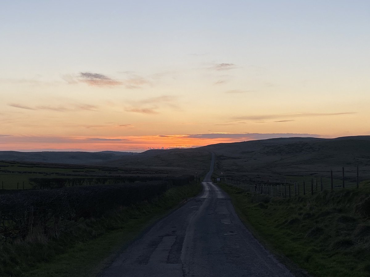 Enfys Williams tweet media