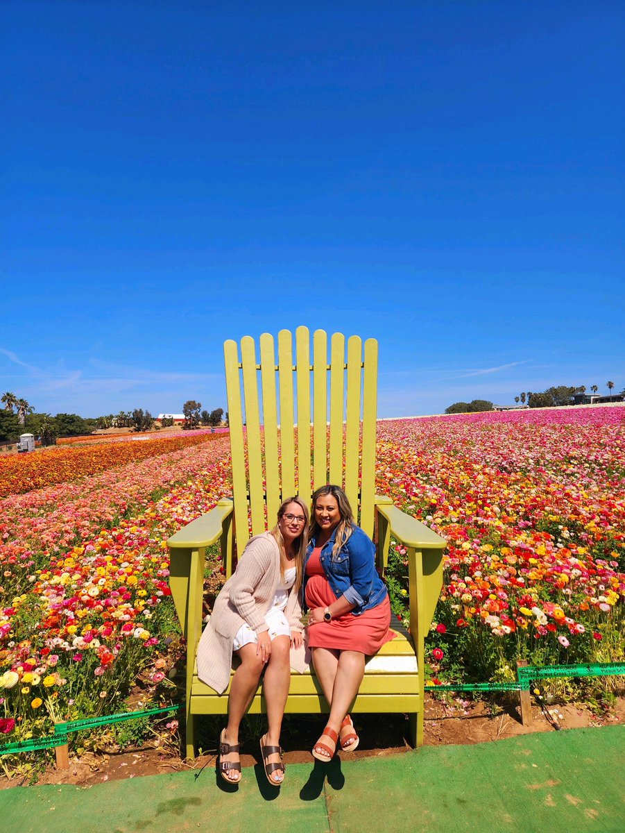 ChioSan87's tweet image. 🦋