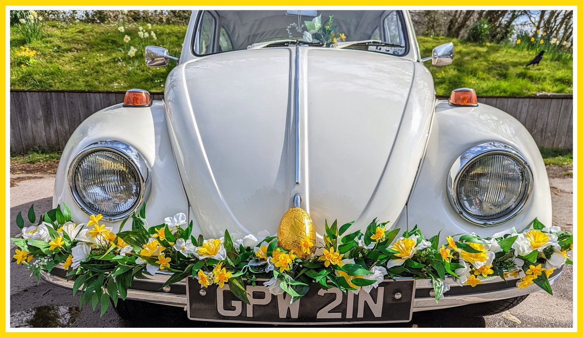justmarriedvw's tweet image. 🧡💛💚 Happy Easter. 🐰🐣 Hope everyone is having an "EGG"ellent🥚weekend. 💚💛🧡