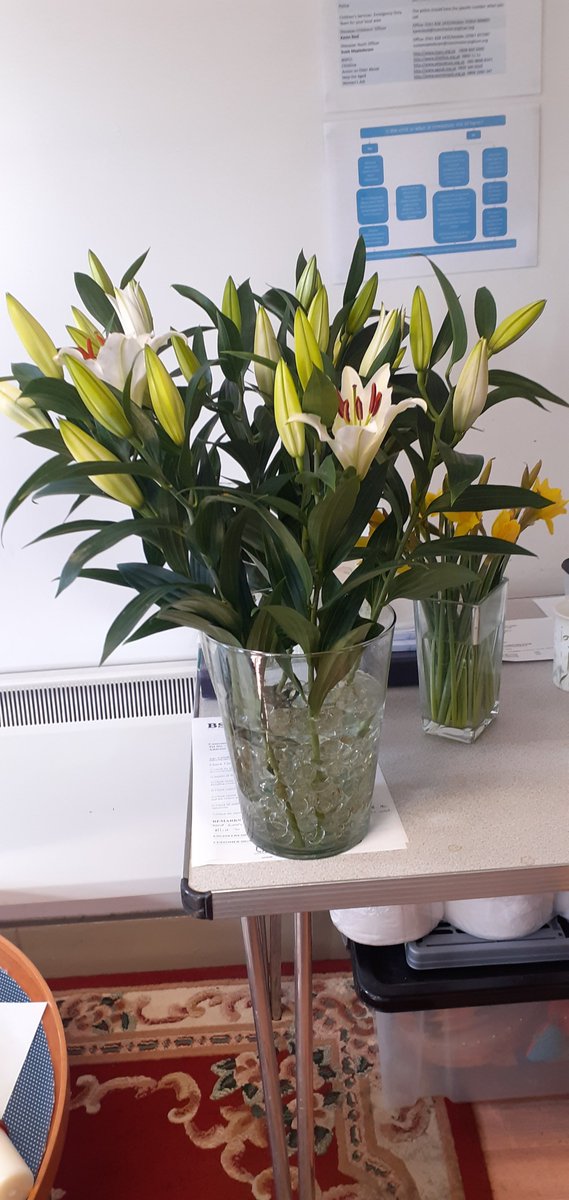 Anne Pilkington tweet media