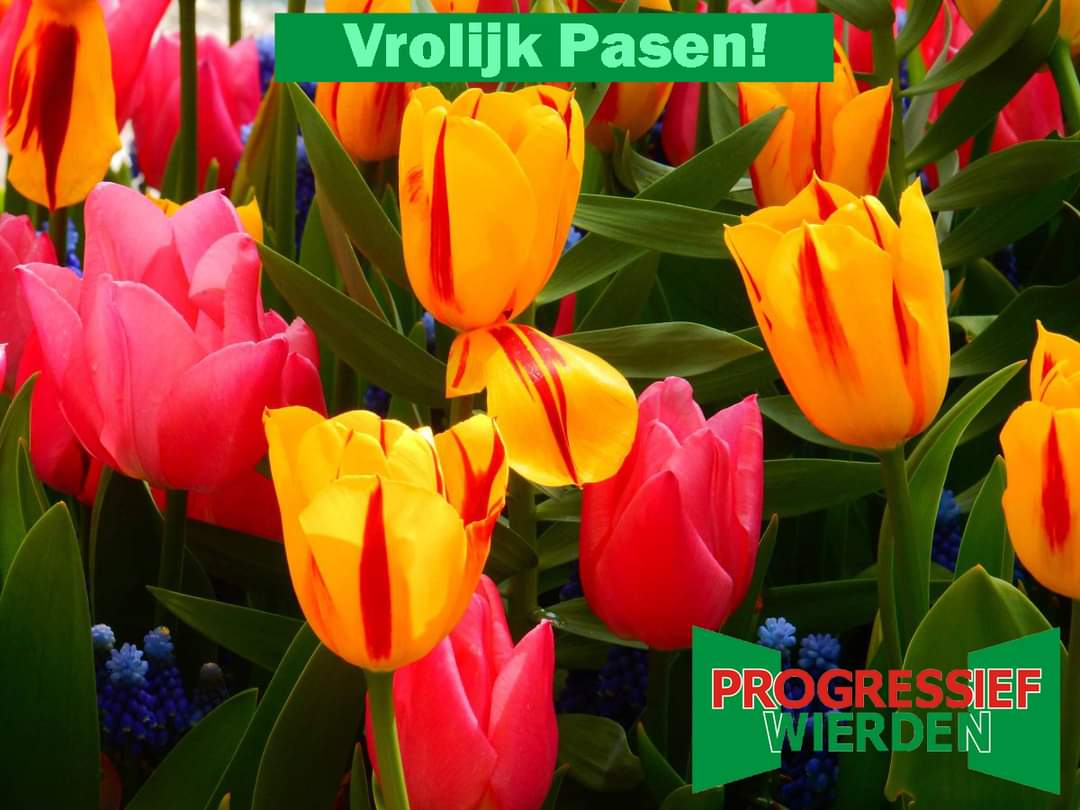 Fijn Pasen voor iedereen die het viert! 🐰🐣