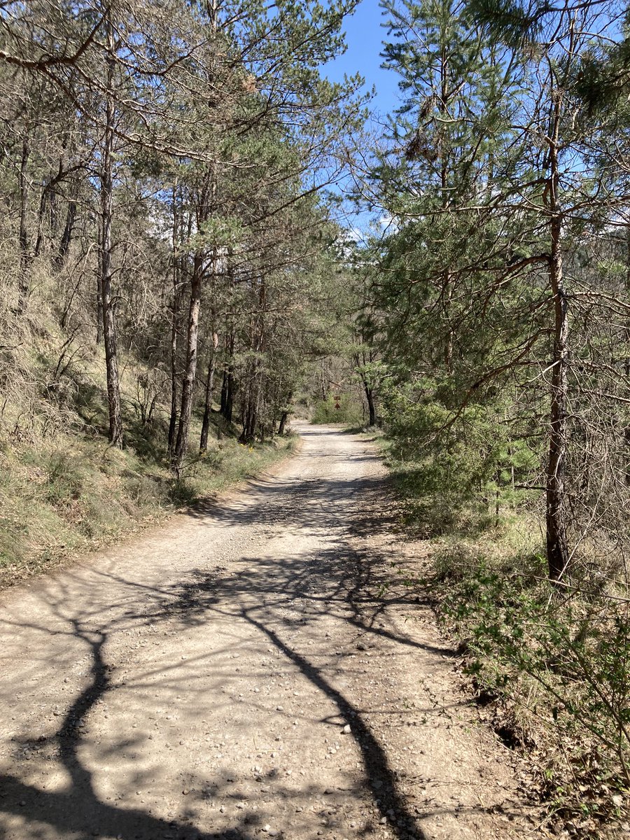 icanalesro's tweet image. Powerful mental rewire from these past days on the bike: Go to nature, no signal, just be present.