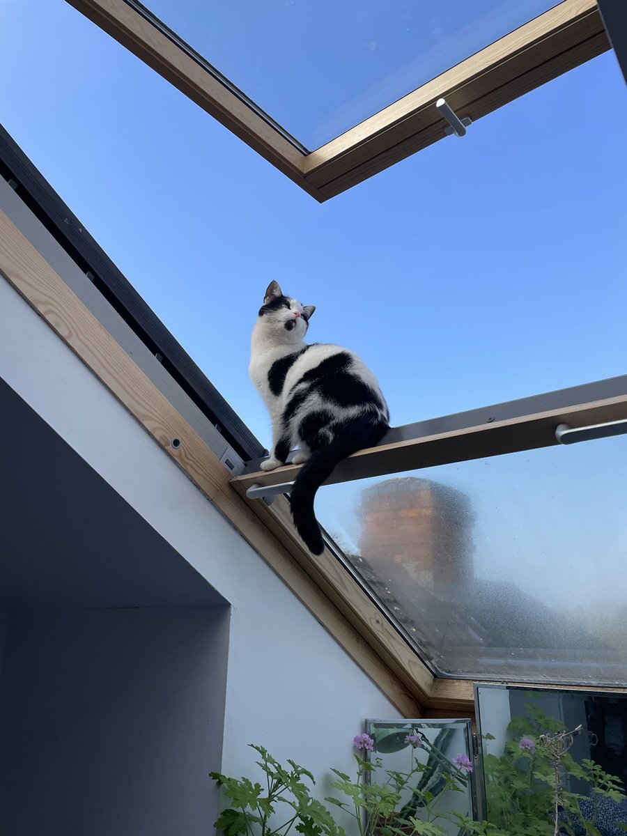 Nicky Kenny (@nickykennyfudge) on Twitter photo 