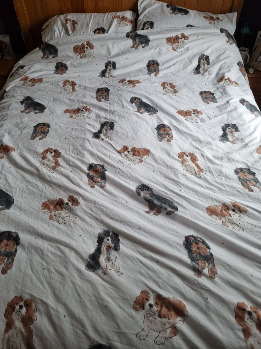 runawaygirl248's tweet image. Loving my new bedding 😍🐾🐾😍
#cavpack #duvetset