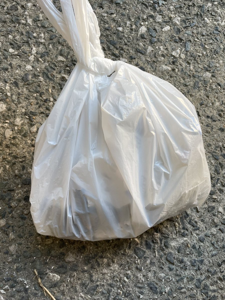 ちょっとだけだけどゴミ拾い〜
道ゆく人にありがとうと言われてハッピーな日曜日でした☀️

ゴミ拾いあるある
タバコの吸い殻ばっかりだからたまに違うゴミがあると、おおお！となる

#ゴミ拾い