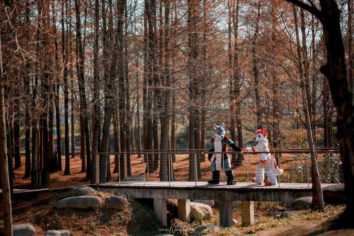 street bike tommy crash