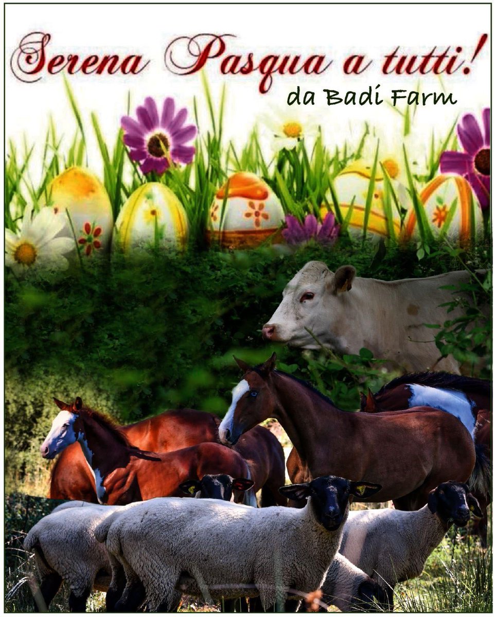 BadiFerruccio's tweet photo. Serena  Pasqua https://t.co/CwPjzstU1A