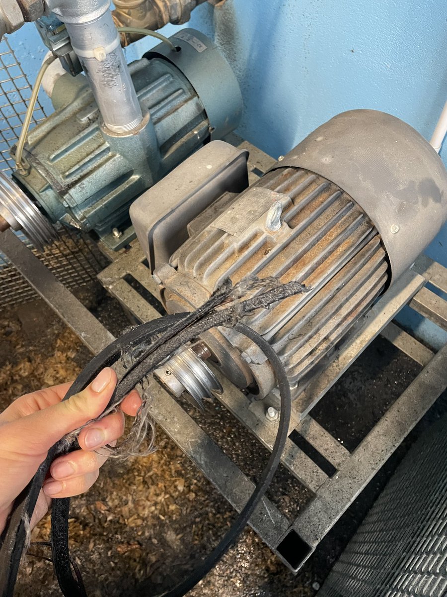 Happy Easter Sunday morning to you too fan belt.