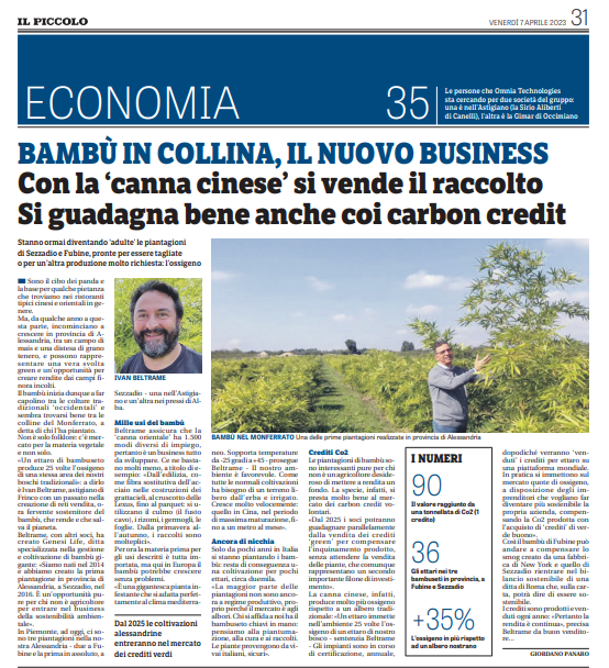 gpanaro's tweet photo. Bambù e carbon credit, l'investimento del futuro?

#carboncredit https://t.co/Pm2MhFy3mG https://t.co/wSduBUIyDK