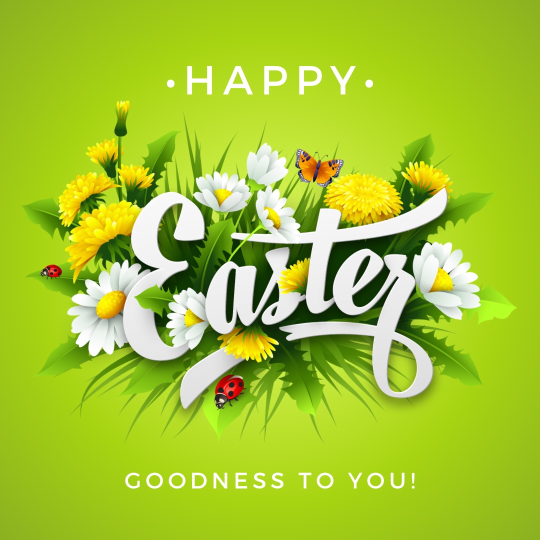 Happy Easter everyone! 
Today is a beautiful reminder that there is always hope for new beginnings. May this Easter bring you renewed hope, love, and faith in your heart!  #HappyEaster