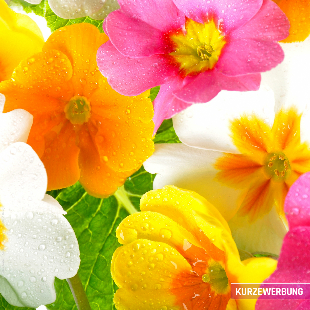 🖖 FROHE OSTERN 🖖
... und Zukunft in unsere Herzen.

Schöne Ostertage wünscht

🖖 das KURZEWERBUNG Team 🖖