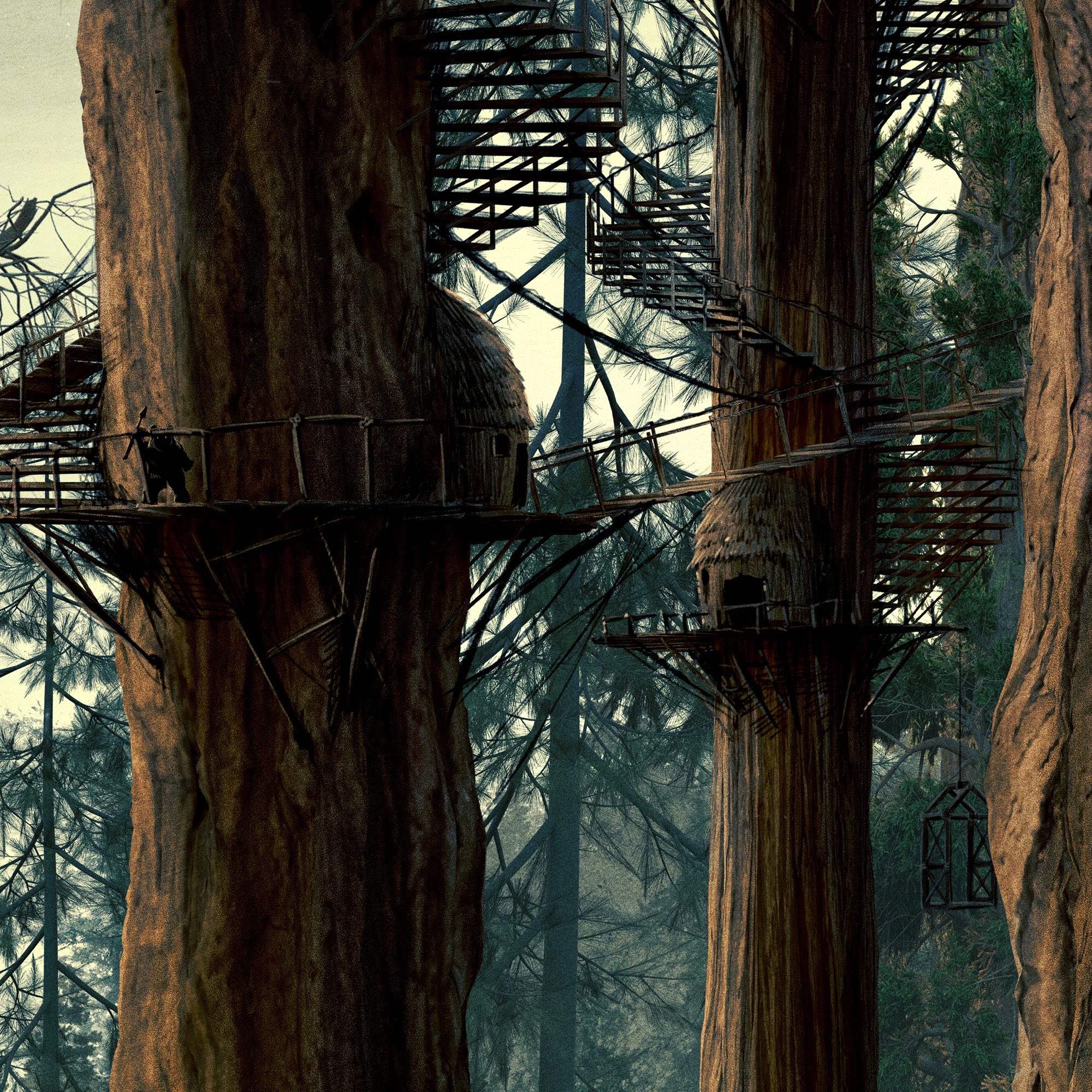 Ewok city 2025