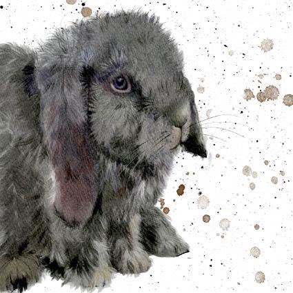 Easter bunny from our Field &amp; Forest range of greetings cards #eastersunday #easterbunny #easter2023 #greetingscards