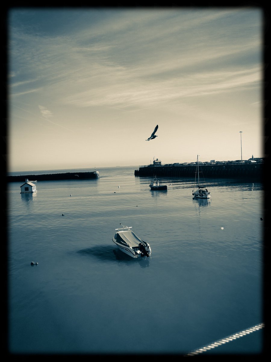 Happy Easter Everyone!
#Easter #EasterSunday #picfair #picoftheday #PictureOfTheDay #photography #folkestone #FolkestoneHarbour #KENT