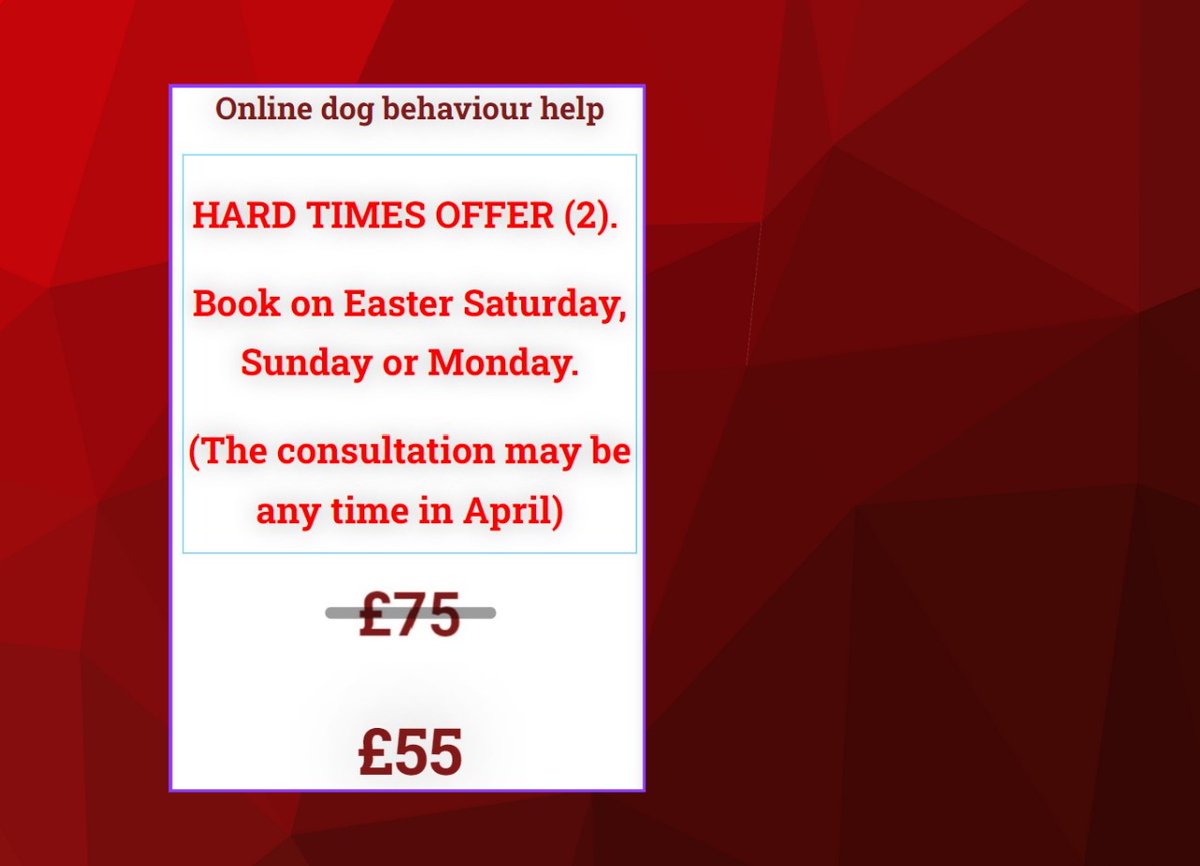 Dogidog Theo Stewart. Dog Behaviourist tweet media