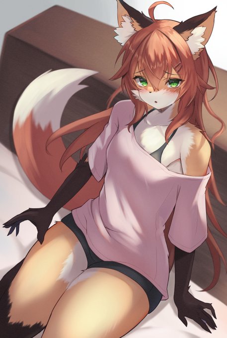 ひざまくらを頼み込んだら恥ずかしがりながらも了承してくれた🦊 