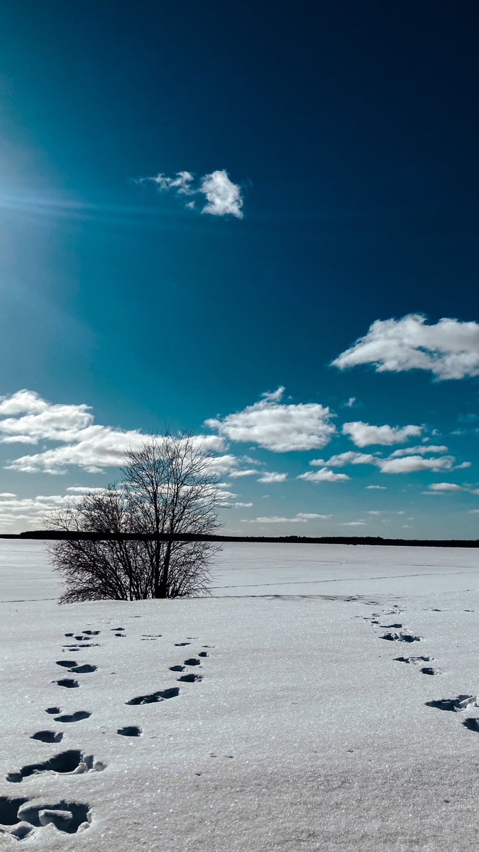 GM
Have a pleasant Sunday