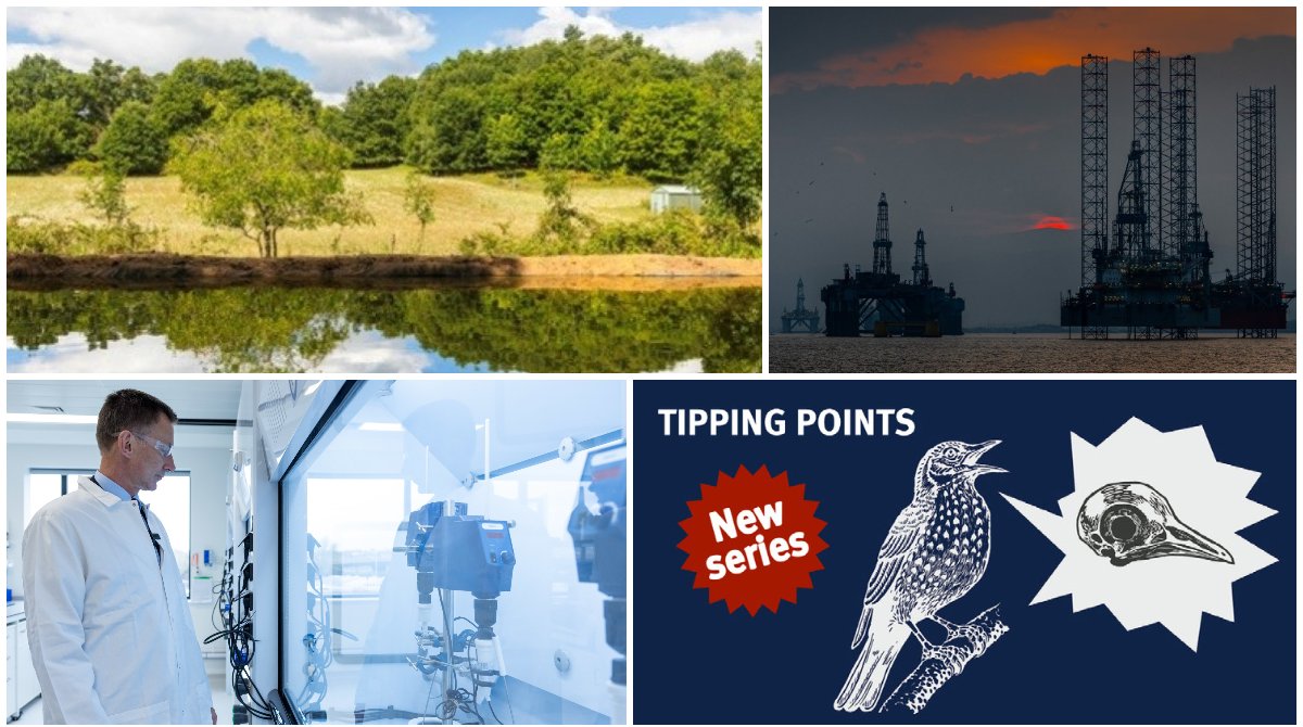 Grantham_IC's tweet photo. #SundayRead: Your digest of #climate #environment news from @imperialcollege
🔌#PoweringUpBritain review
🎧New Tipping Points podcast
💰 Why corporates must act on #ClimateChange
📢Co-Director Vacancy
📅Air pollution and the brain event
& much more
▶️https://t.co/ShcqLCyx7t https://t.co/pQZrYv82lA