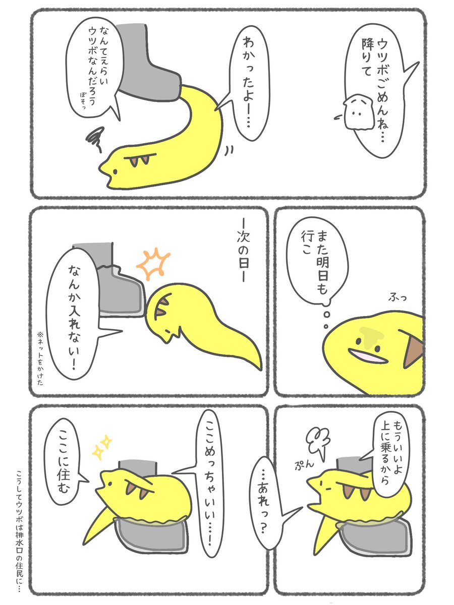 ウツボが脱走(?)した話 