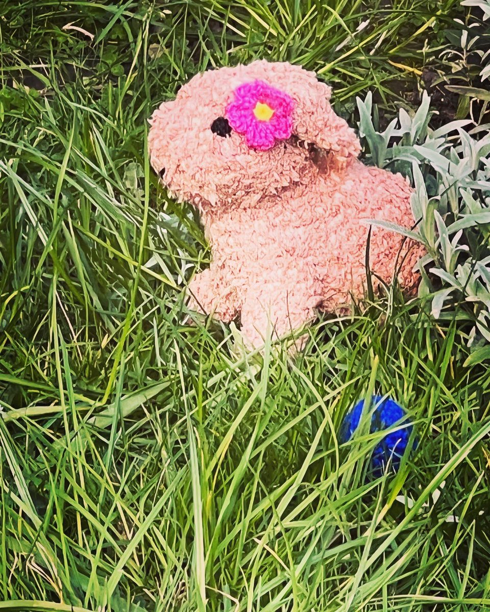 stellacreasy tweet media