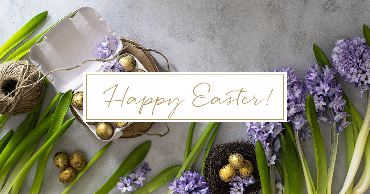 Have a Happy Easter from all of us here! 🐰🐣

#happyeaster #easter