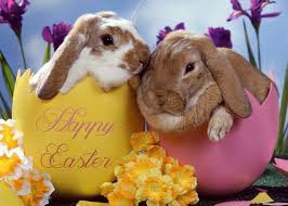 Lucksbridge2019's tweet photo. Wishing our staff and their families a peaceful Easter #chocolate #invaluable https://t.co/2ge4crbxX5