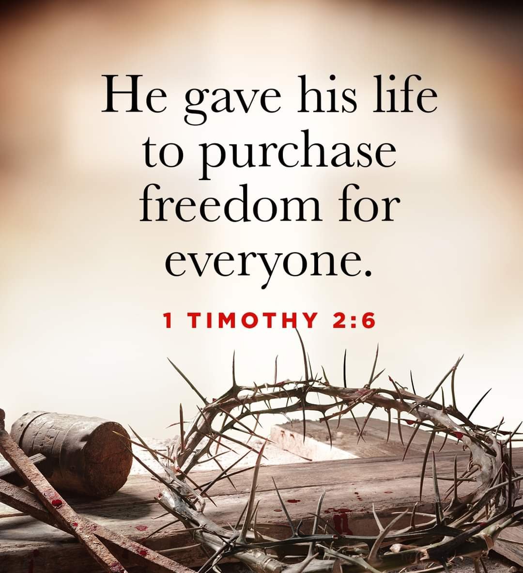 peterwburrows's tweet image. Have a peaceful #Easter #seaton #Devon