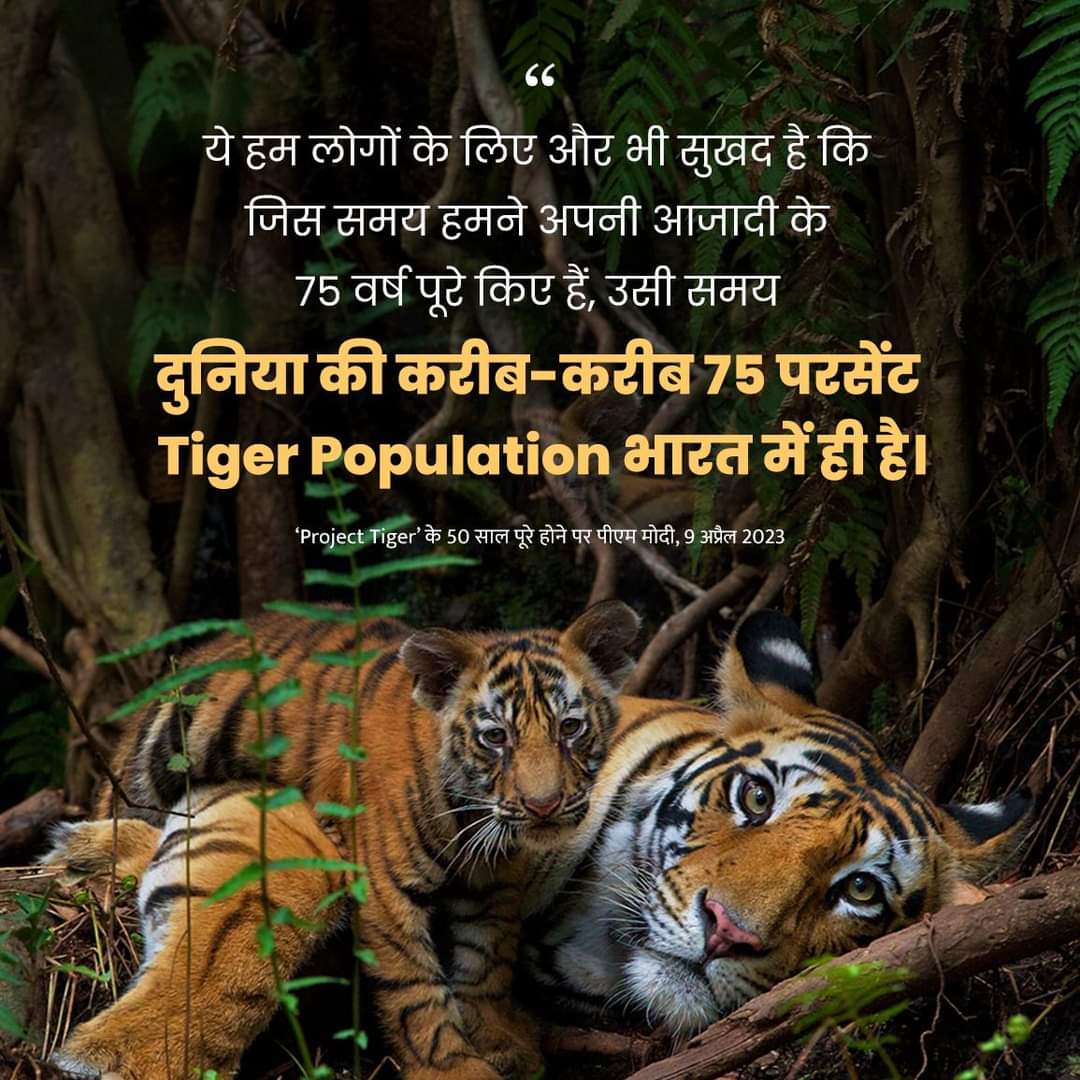 BJP4UK's tweet image. भारत ने Tiger को ना सिर्फ बचाया है, बल्कि उसको फलने-फूलने का एक बेहतरीन ecosystem दिया है।

जिस समय हमने अपनी आजादी के 75 वर्ष पूरे किए हैं...उसी समय दुनिया की करीब-करीब 75% Tiger Population भारत में ही है। 
#PMModi 
#TIgerproject