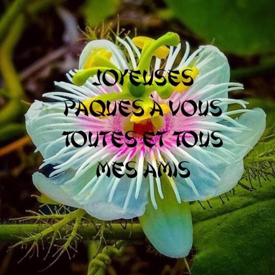 Prenez soin de vous et des siens